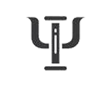 Icon Formare